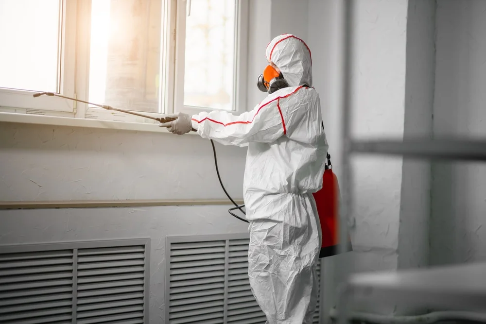Professional mold remediation services in Armada, MI